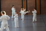 IMG_3654.jpg